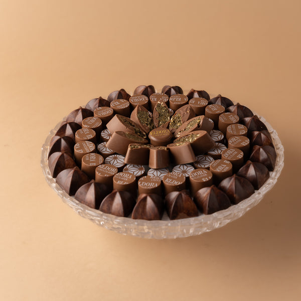شوكو 29